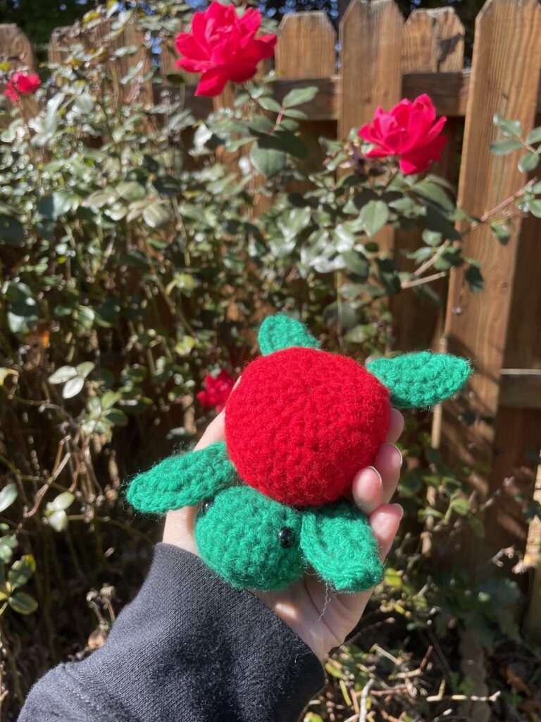 Crocheted Amigurumi Green Turtle with Red Shell